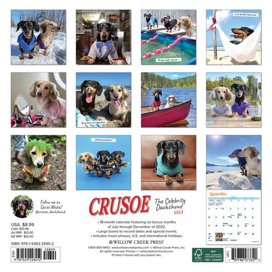 2023 Crusoe the Dachshund Mini Wall Calendar Michaels